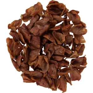 animalerie à Saint-Jean-de-Thouars