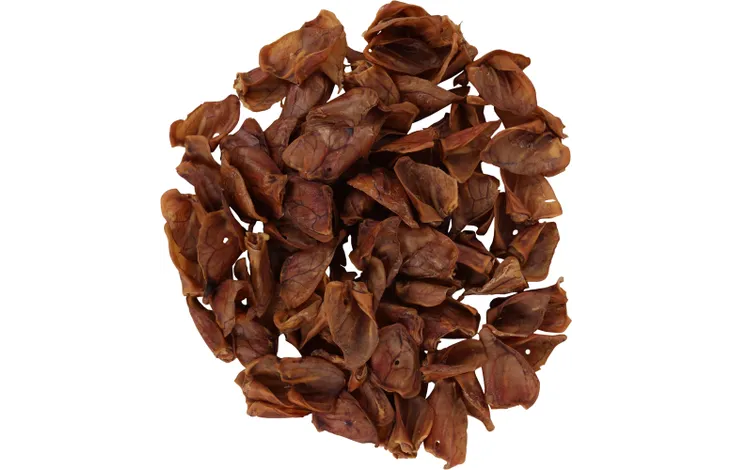 animalerie à Saint-Jean-de-Thouars