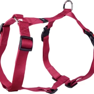 alimentation pour chien à Saint-Jean-de-Thouars