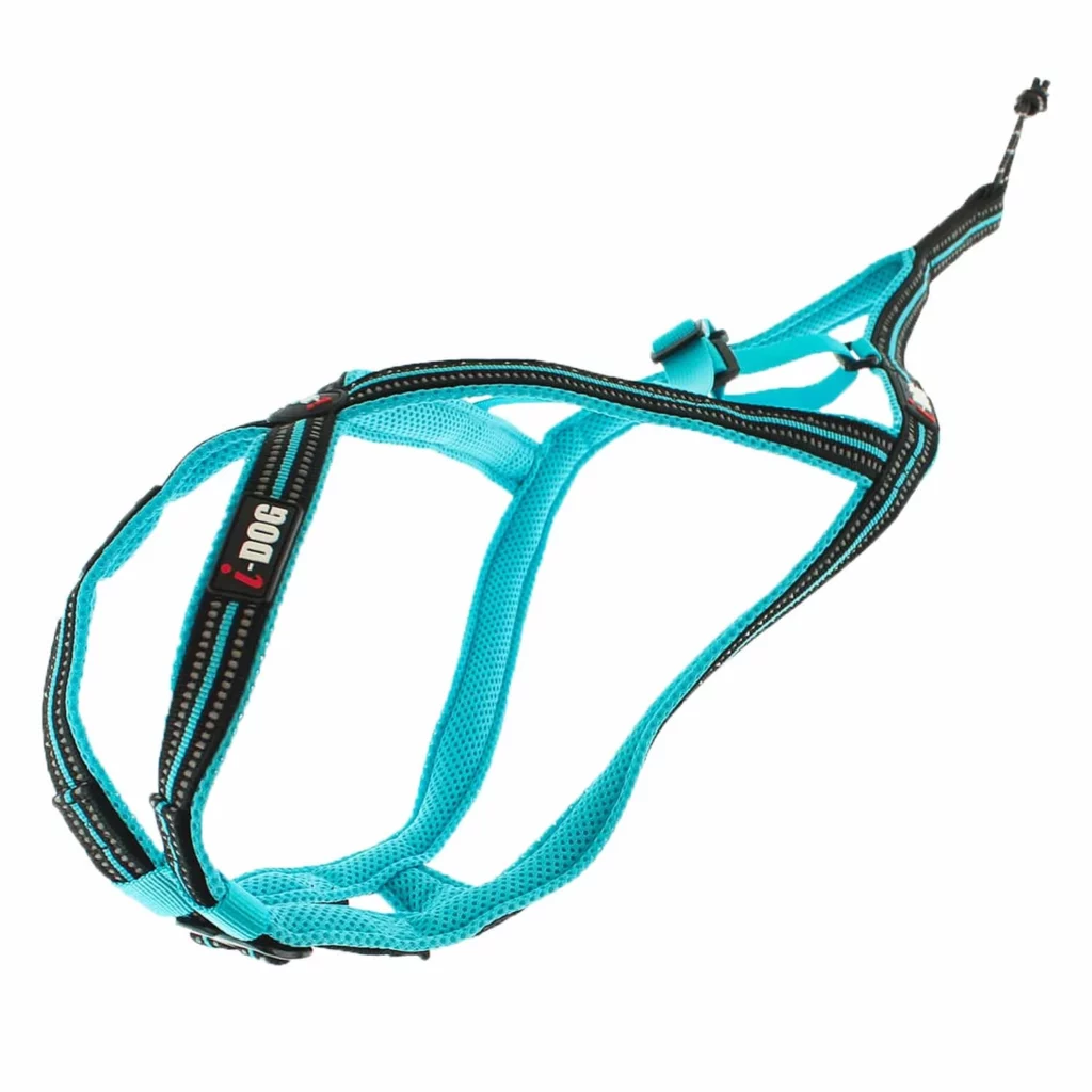 animalerie à Saint-Jean-de-Thouars