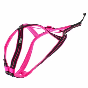 alimentation pour chien à Saint-Jean-de-Thouars