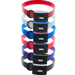 alimentation pour chien à Saint-Jean-de-Thouars