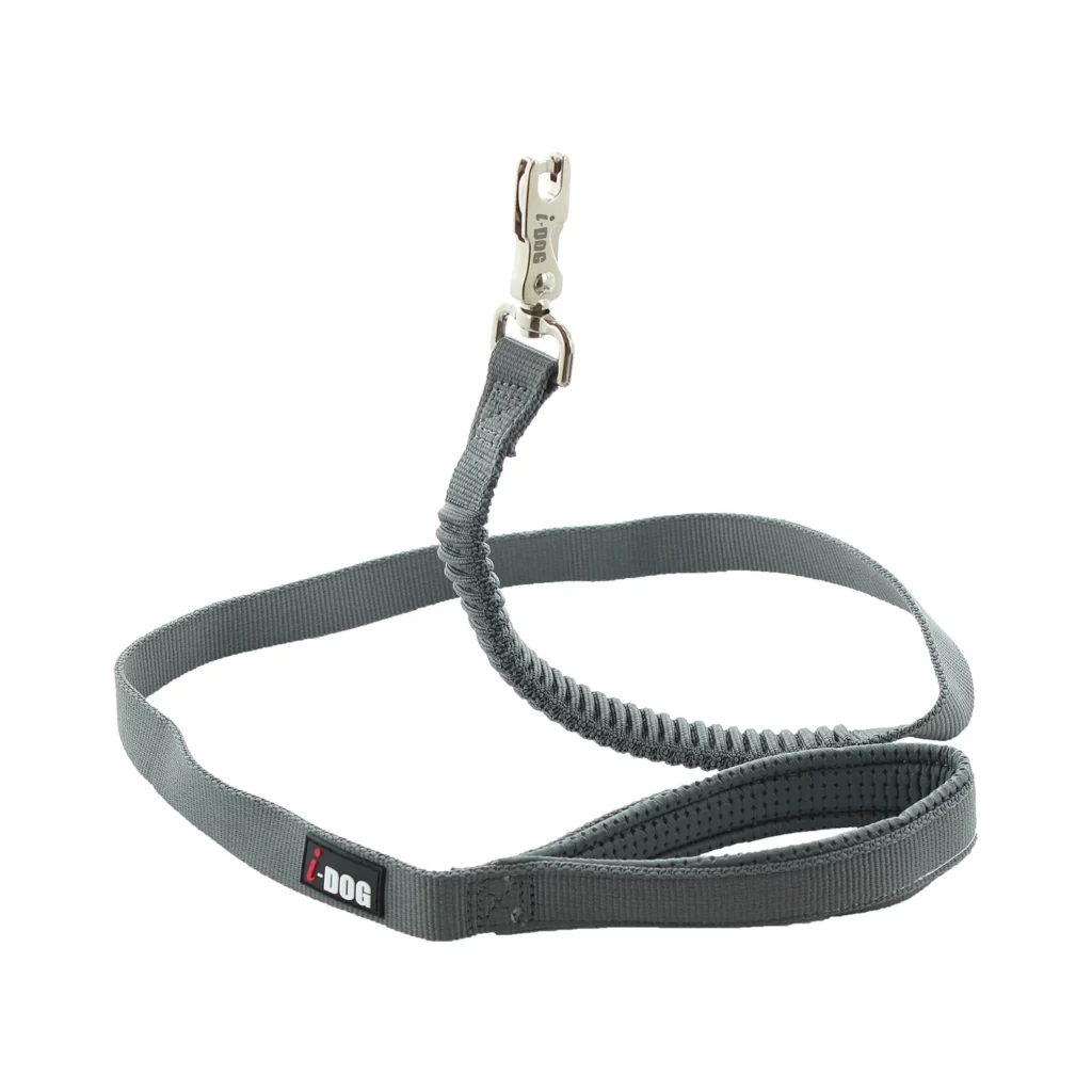 alimentation pour chien à Saint-Jean-de-Thouars