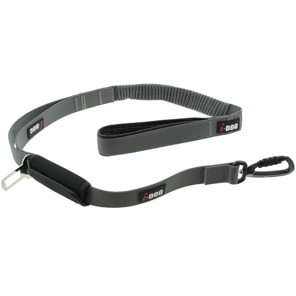 animalerie à Saint-Jean-de-Thouars